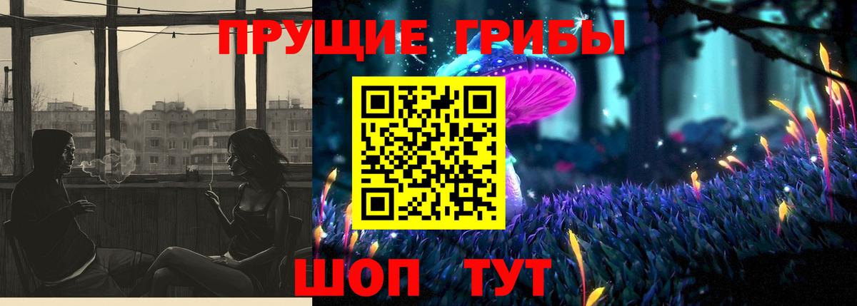 Сарапул  Псилоцибиновые грибы Cubensis  Вход с VPN 